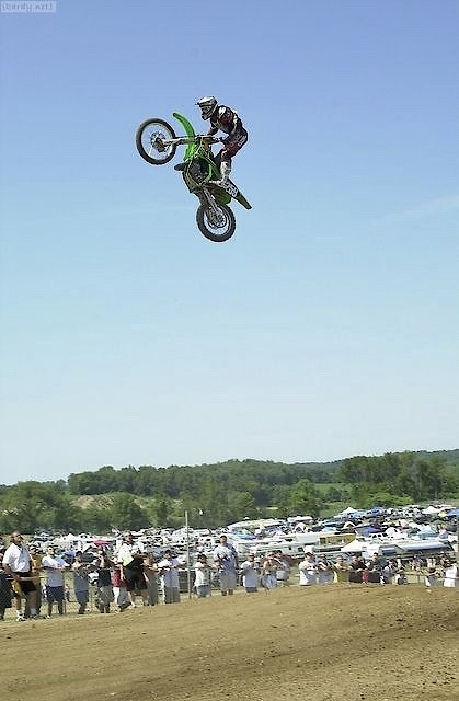 RedBud